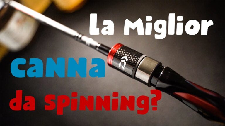 Canna trota lago daiwa exceler